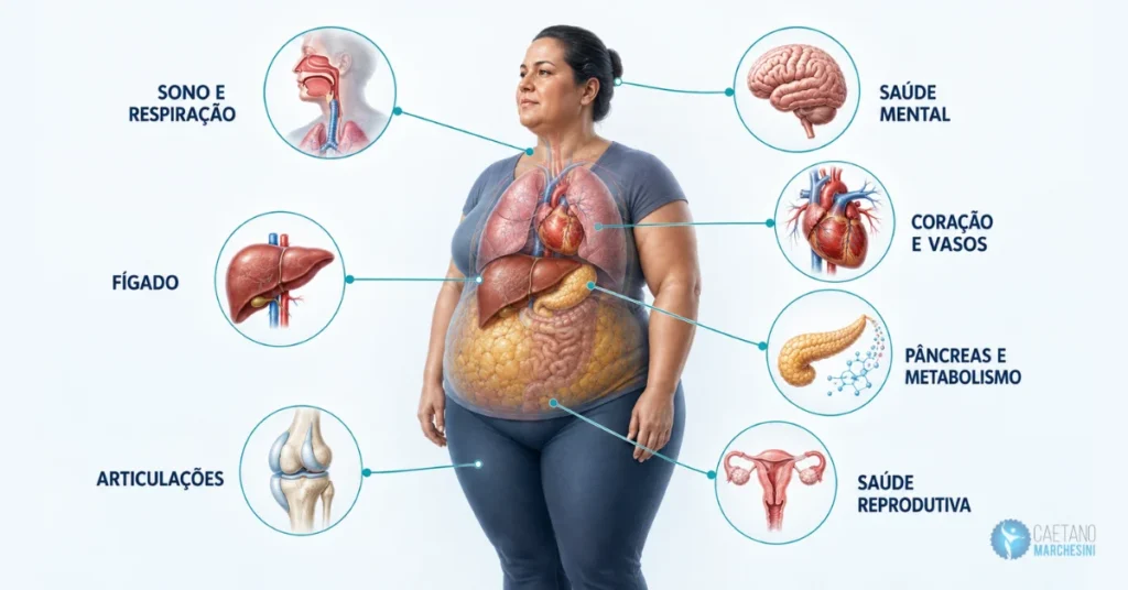 Quais são os riscos da obesidade para a saúde - infográfico