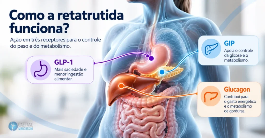Como a retatrutida funciona